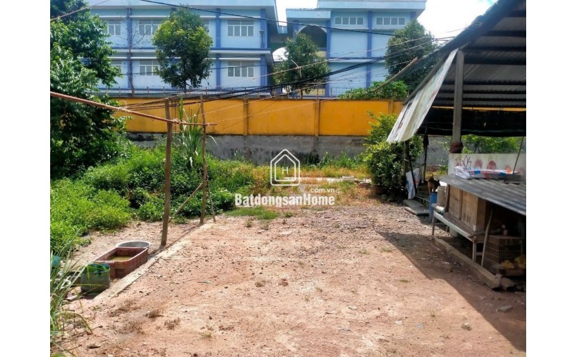 Chính chủ) Bán lô đất shr thổ cư - đường nhựa 361, xã Tân thạnh Đông, Củ Chi