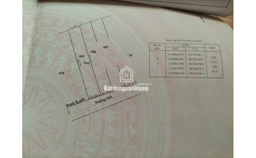 ĐẤT ĐẸP - GIÁ TỐT Chính Chủ Cần Bán Nhanh Đất Xã Tân Phú Trung, Huyện Củ Chi, HCM