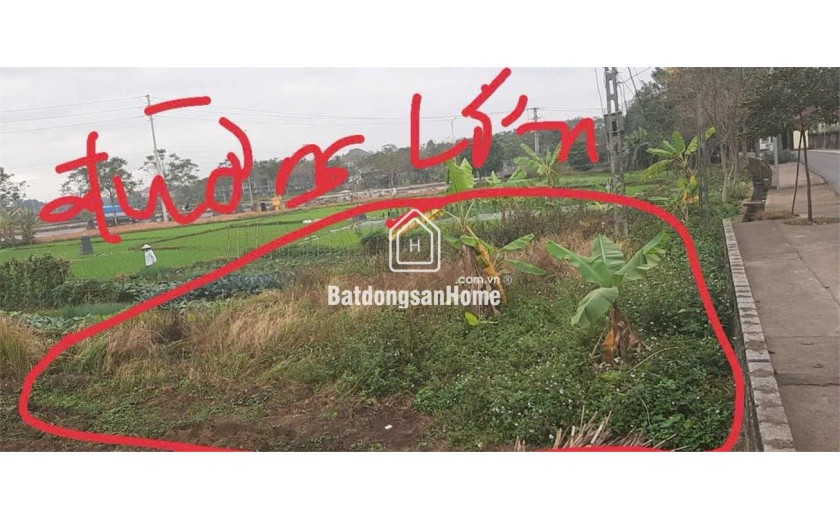 CHÍNH CHỦ Cần Bán Nhanh 2 LÔ ĐẤT Tại xã Đồng Tĩnh, huyện Tam Dương, Vĩnh Phúc.