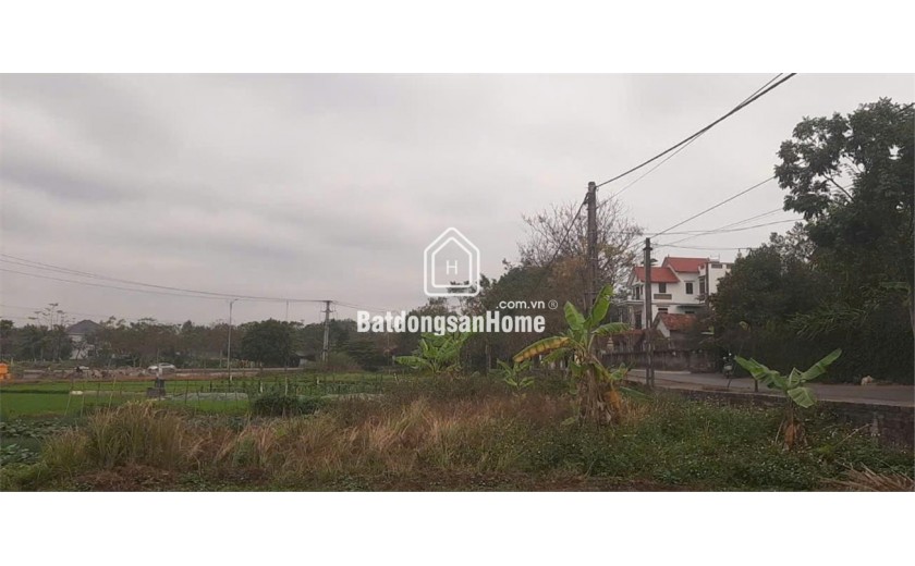 CHÍNH CHỦ Cần Bán Nhanh 2 LÔ ĐẤT Tại xã Đồng Tĩnh, huyện Tam Dương, Vĩnh Phúc.
