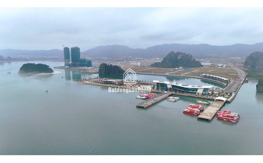 Khai thác dòng tiền 15tr đến 20tr khi đầu tư căn hộ View Vịnh Di Sản Chỉ Từ 1,7 Tỷ