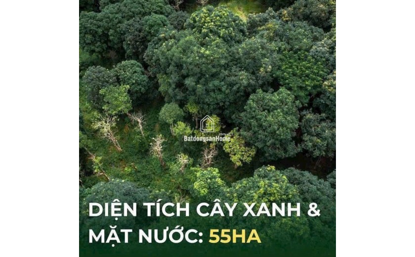 Rừng Eco Retreat Long An Có Gì Mà Giới Siêu Giàu Săn Đón