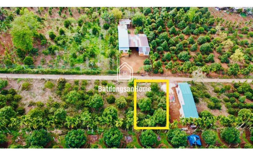 Đất thị xã Buôn Hồ giá rẻ gần trung tâm Buôn Hồ chỉ 369tr có ngay lô đất gần 250m2 sẵn TC