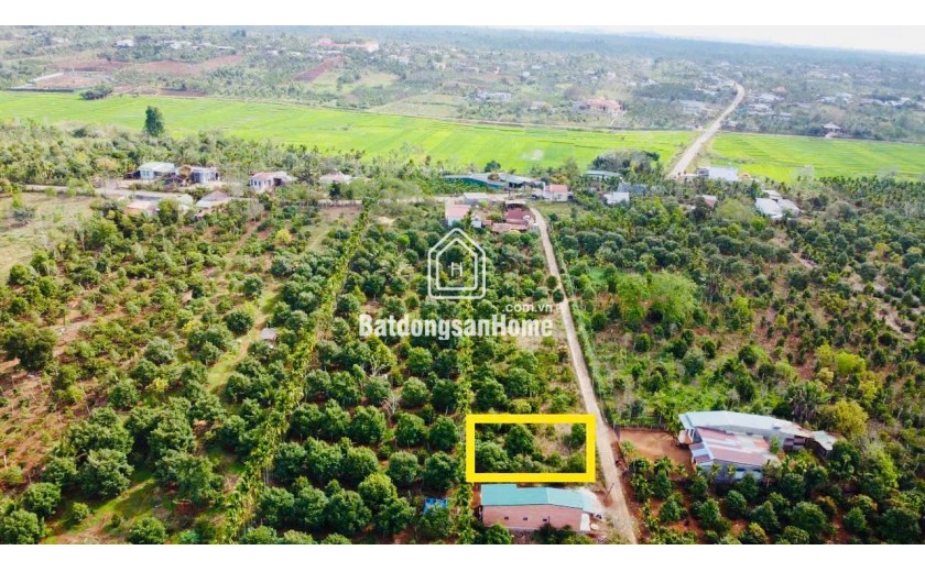 Đất thị xã Buôn Hồ giá rẻ gần trung tâm Buôn Hồ chỉ 369tr có ngay lô đất gần 250m2 sẵn TC