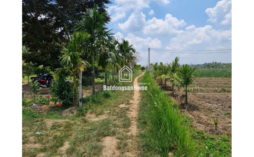 Đất rẫy Ea Bhok-Cưkuin view suối dt 5700m2 thực tế 7000m2 sẵn 400m2 thổ cư kdc giàu đủ tiện ích