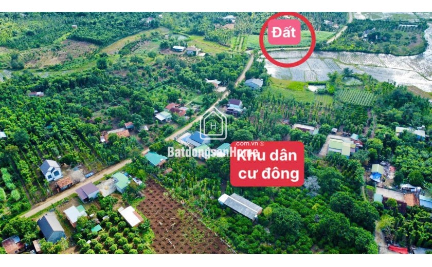 BÁN ĐẤT EA HU- CƯ KUIN- ĐẮK LẮK HƠN 300M2 SẴN THỔ CƯ 100M2 VIEW ĐỒNG LÚA GIÁ 249TR