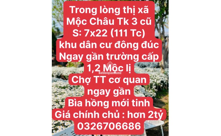 THÍCH HỢP XÂY VILLA MINI TẠI RỪNG THÔNG MỘC CHÂU