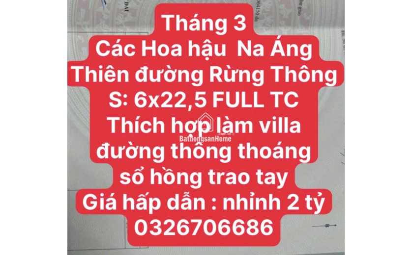 THÍCH HỢP XÂY VILLA MINI TẠI RỪNG THÔNG MỘC CHÂU