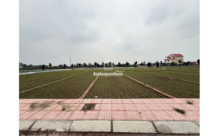 Siêu phẩm cạnh bãi tắm Quất Lâm 100m2 giá rẻ nhất thị trường