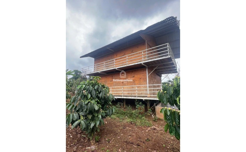 ĐẤT SIÊU ĐẸP - Chính Chủ Cần Bán Lô Đất  Tại thị trấn Di Linh, huyện Di Linh, Lâm Đồng