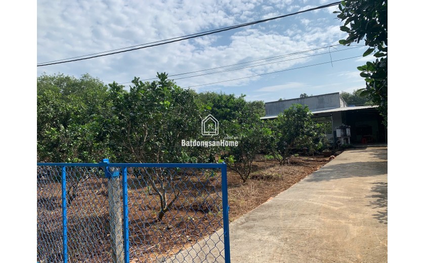 Bán đất 600m2 sẵn 50m2 thổ cư mặt đường xã Bàu lâm, Xuyên mộc, Bà Rịa