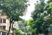 SIÊU HIẾM KĐT ĐỊNH CÔNG TRẦN NGUYÊN ĐÁN 75M, Ở VIP, KD VĂN PHÒNG, 23.5 TỶ.