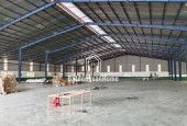 CHO THUÊ XƯỞNG 3000M SẢN XUẤT TẠI LONG NGUYÊN BÀU BÀNG