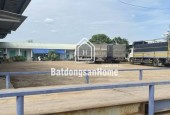 CHO THUÊ 10.000M NHÀ XƯỞNG SẢN XUẤT TẠI CHƠN THÀNH BÌNH PHƯỚC