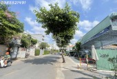 Nhà Mặt Tiền Đ59, Thảo Điền, Quận 2 (5.15x15m), Giá Chỉ 11.5 Tỷ