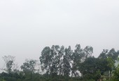 Bán 3ha đất công nghiệp tại Văn Giang, Hưng Yên. Cách mặt đường 379 khoảng 300m