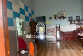 CẦN BÁN GẤP LÔ ĐẤT VƯỜN CÓ 400M THỔ CƯ VÀ 240 CÂY SẦU RIÊNG