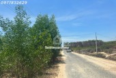 Đất ngộp mặt tiền Lý Nam Đế - Tân Phước - TX laGi chỉ 100tr/m ngang