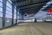 xưởng sản xuất với diện tích cho thuê linh hoạt, kết cấu kiên cố hiện đại, bàn giao liền