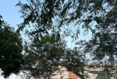 PHÂN LÔ, Ô TÔ,VỈA HÈ, VŨ LĂNG- THANH TRÌ, 88 M2, 7 TẦNG, TM, MT 6M, GIÁ 25 TỶ.
