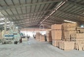 CHO THUÊ XƯỞNG TÂN VĨNH HIỆP – TÂN UYÊN – BÌNH DƯƠNG Diện tích đất: 6.000m²  Liên hệ ngay để xem xưởng: 0366.632.092 (Zalo/Call)