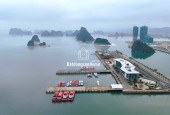 Mở bán đợt 1 tòa C căn hộ nghỉ dưỡng View Vịnh Bái Tử Long. Giá chỉ từ 1,7 tỷ.
