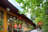 XT168 xưởng sản xuất cho thuê ổn định,  kết cấu đẹp an toàn hoạt động lâu dài