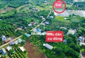 BÁN ĐẤT EA HU- CƯ KUIN- ĐẮK LẮK HƠN 300M2 SẴN THỔ CƯ 100M2 VIEW ĐỒNG LÚA GIÁ 249TR