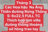 THÍCH HỢP XÂY VILLA MINI TẠI RỪNG THÔNG MỘC CHÂU