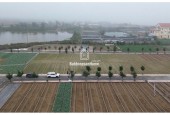 Siêu phẩm cạnh bãi tắm Quất Lâm 100m2 giá rẻ nhất thị trường