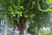 CÀN SANG CHỦ MỚI QUẢN LÝ TÒA NHÀ LÊ ĐÌNH, QUẬN 3 - GIANG GIANG:0901611116