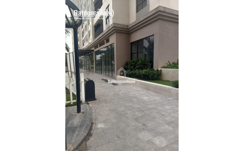 Shophouse khối đế tòa CT8 Emerald Mỹ Đình Sông Đà, cho thuê 80 triệu/tháng.