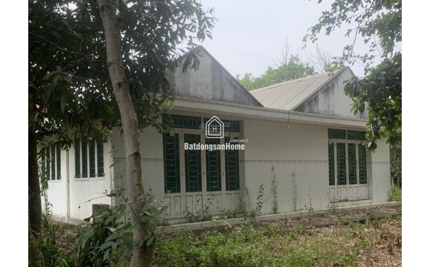 Đất 22.000m2 giá rẻ 6.5tỷ , SHR không QH - QL20 - Đồng Nai