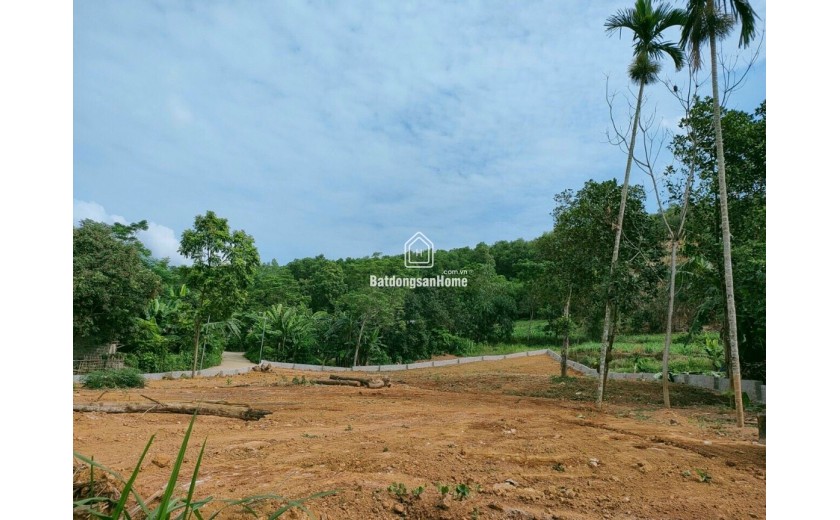 Mảnh đất Yên Bài, Ba Vì làm nhà vườn nghỉ dưỡng, DT 1500m2 thoáng 4 mặt, 2 mặt đường, mặt tiền gần 30m, có thể chia làm 2 căn