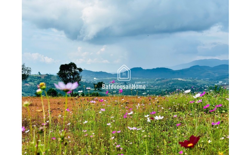 600 TRIỆU / LÔ ĐẤT VIEW SIÊU ĐẸP TẠI LỘC BẮC