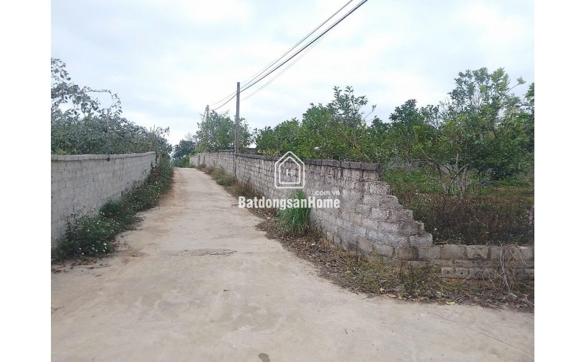 CẦN BÁN 6 LÔ ĐẤT ĐẸP-PHƯỜNG THANH HẢI-TX CHŨ-BẮC GIANG