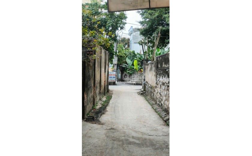 Nắm bắt cơ hội sở hữu ngay lô đất vàng tại Tổ dân phố Đan Tiên Tân, Phường Tân Hiệp! 