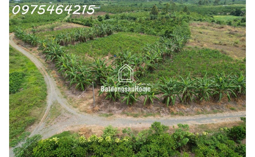 BÁN ĐẤT VIEW SÔNG – HẺM ĐƯỜNG ĐINH CÔNG TRÁNG, TP BẢO LỘC

