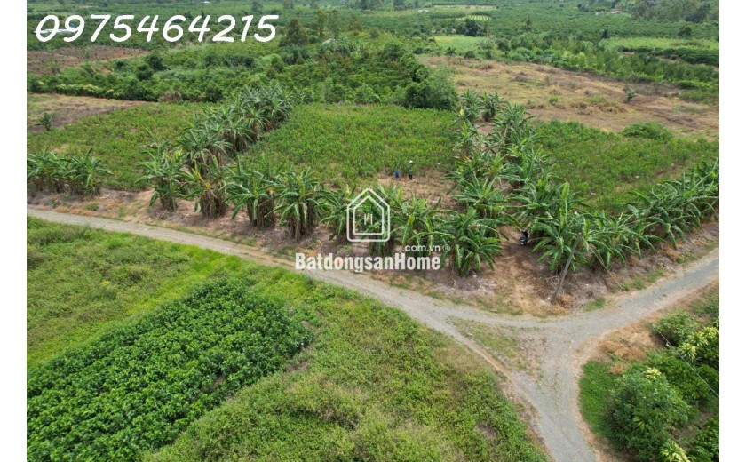 BÁN ĐẤT VIEW SÔNG – HẺM ĐƯỜNG ĐINH CÔNG TRÁNG, TP BẢO LỘC
