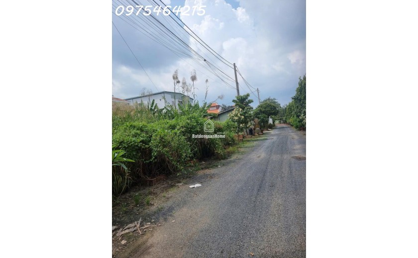 BÁN ĐẤT MẶT TIỀN NGUYỄN THỊ TƯ – PHÚ HỮU, TP. THỦ ĐỨC 8000m2
