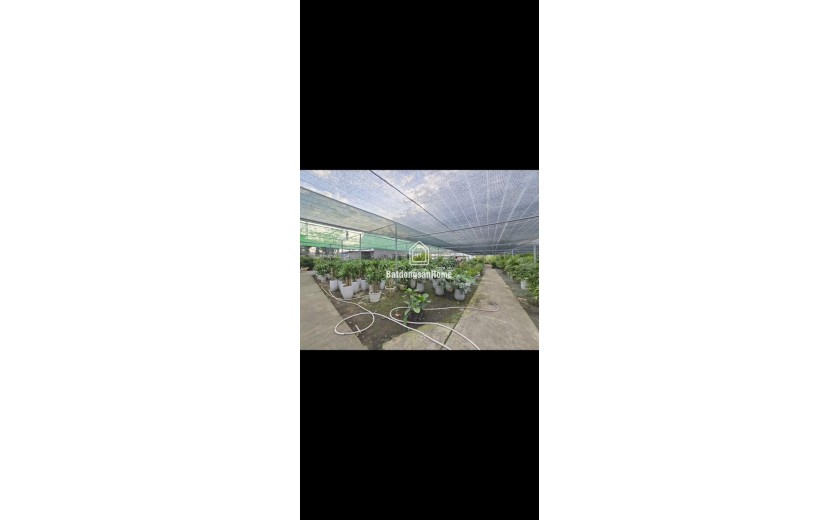 SIÊU PHẨM LÔ GÓC 2 MẶT TIỀN NGUYỄN DUY TRINH – 61×100 – FULL THỔ CƯ