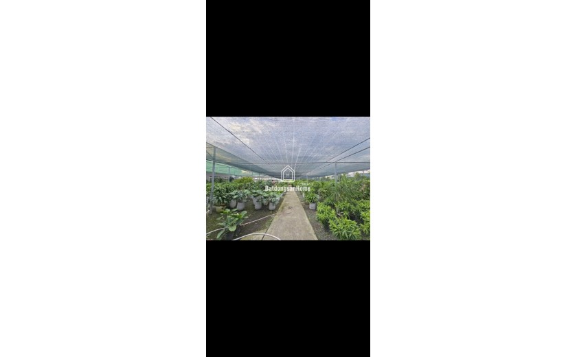 SIÊU PHẨM LÔ GÓC 2 MẶT TIỀN NGUYỄN DUY TRINH – 61×100 – FULL THỔ CƯ