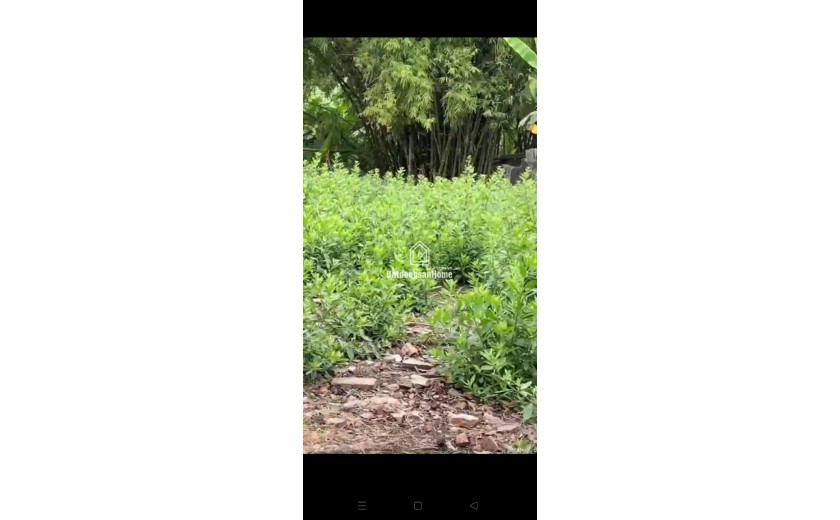 Lô đất vàng làng nghề Trống Đọi Tam - Tiên Sơn - Duy Tiên