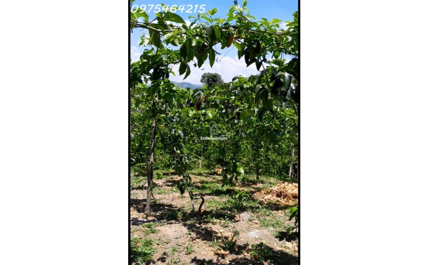 Bán Đất Bảo Lộc - 5.700m² -  - Đường Bê Tông Đẹp, Điện Nước Đầy Đủ