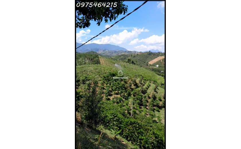 Bán Đất Bảo Lộc - 5.700m² -  - Đường Bê Tông Đẹp, Điện Nước Đầy Đủ