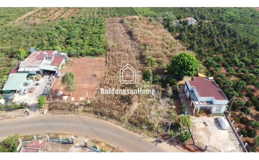 Bán đất mặt tiền Trần Phú thị trấn Di Linh – 2.206m²