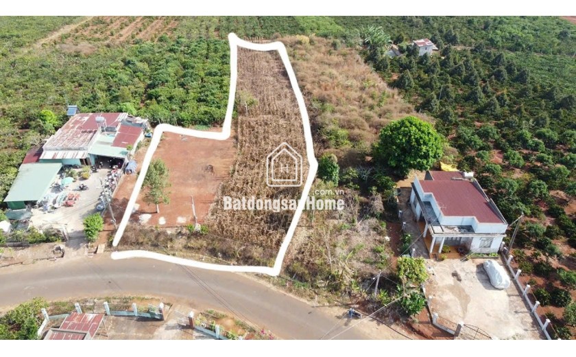 Bán đất mặt tiền Trần Phú thị trấn Di Linh – 2.206m²