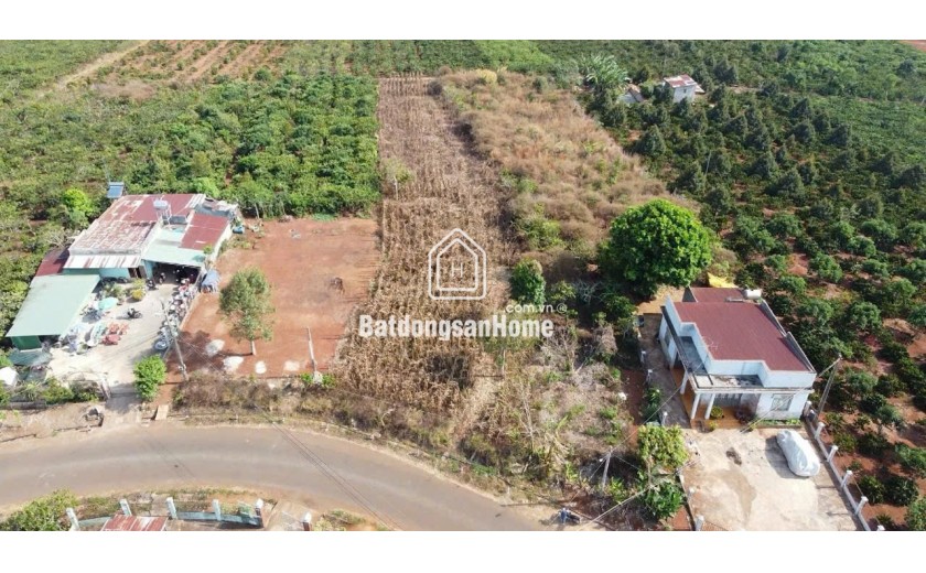 Bán đất mặt tiền Trần Phú thị trấn Di Linh – 2.206m²