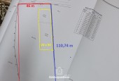 BÁN ĐẤT THỔ CƯ PHẠM THỊ GIÂY  11.000M2 - HÓC MÔN - GIÁ 180 TỶ