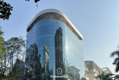 BUILDING PHỐ TRẦN THÁI TÔNG, CẦU GIẤY, DIỆN TÍCH 122M2, 8 TẦNG NỔI + TUM, CÓ HẦM. CHO THUÊ 250 TR/THÁNG